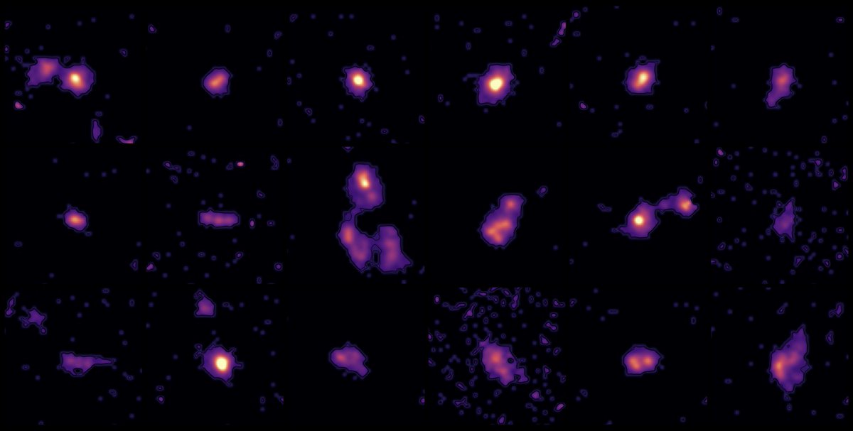 caltechipac's tweet image. At #AAS247, IPAC scientist @astrofaisst presented at a press conference on January 6. His work shows that early galaxies are maturing faster than researchers previously believed. 

"It's like seeing 2-year-old children act like teenagers," said Faisst.

ipac.caltech.edu/news/young-gal…