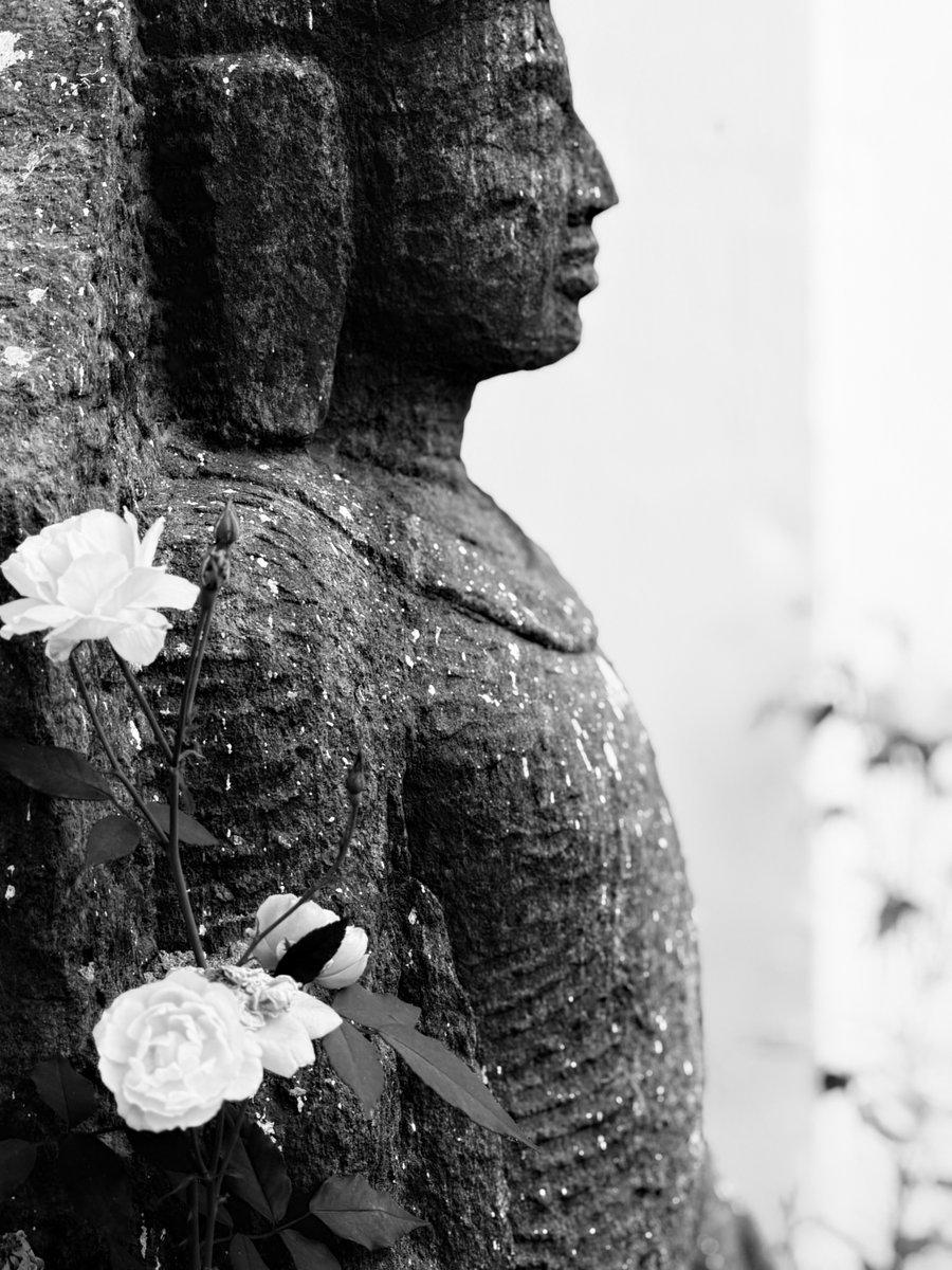 Roopa R Sahoo tweet media