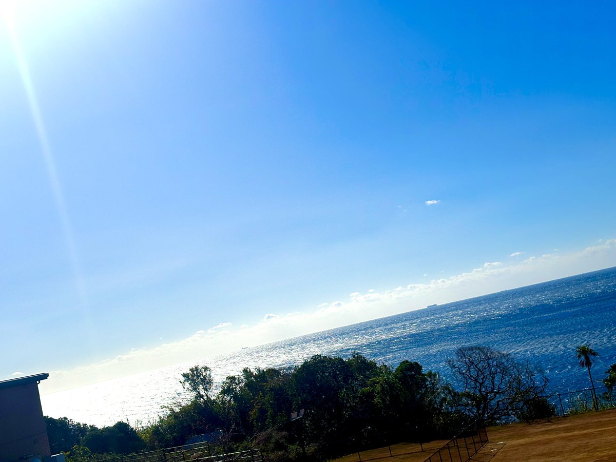 Shin_DLESS's tweet image. 