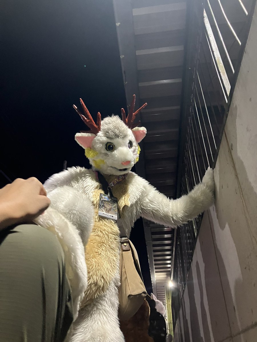 UNITEritekiBAD's tweet image. JMoF終わったのにkemoconの写真出してもいいすか( ᐙ )？
(タカくん被害者の会のタグ付けてみたいけど タグ主以外誰も使ってないから付けてもいいのか分からない写真)