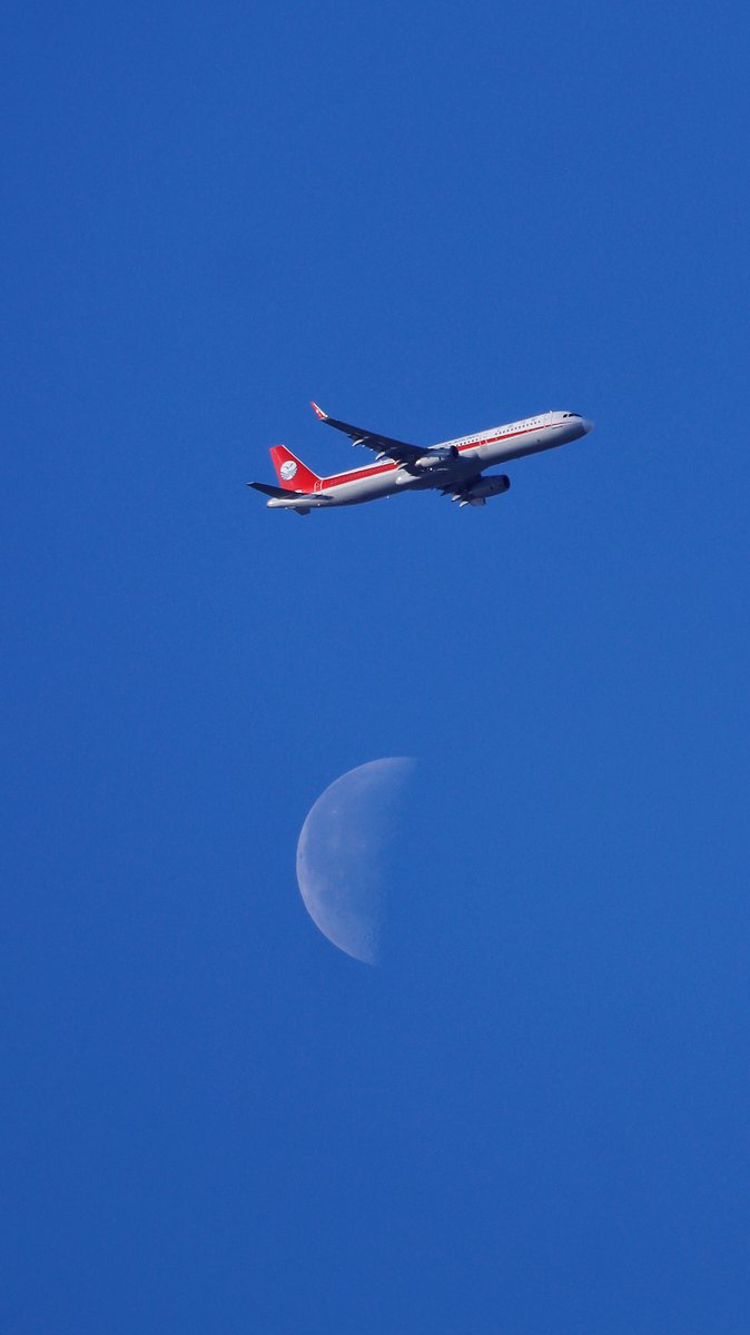 MillerTimoby's tweet image. 飛行機と月は思いがけず出会った。