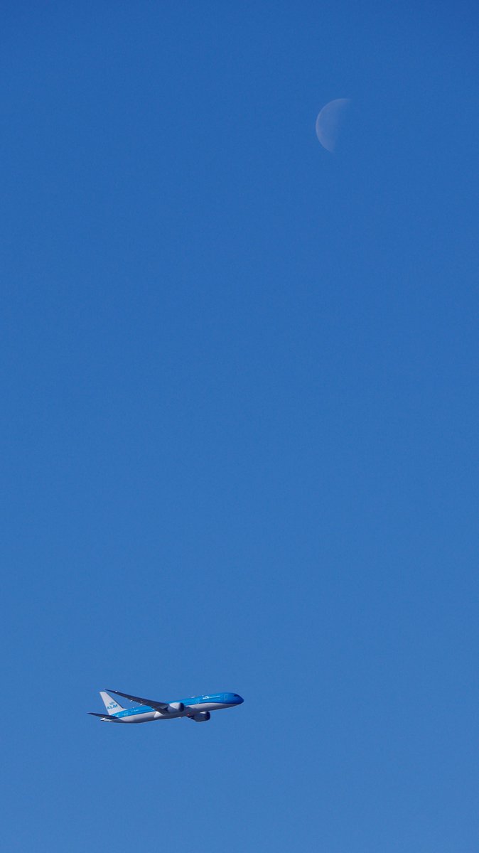 MillerTimoby's tweet image. 飛行機と月は思いがけず出会った。