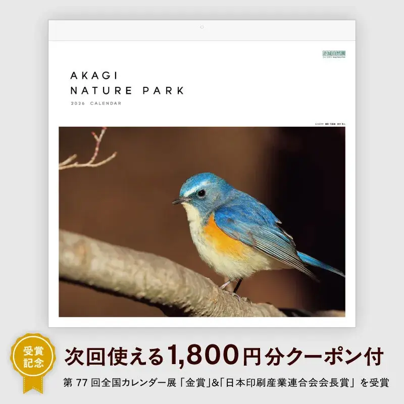 kaori_saison's tweet photo. 🏆受賞記念キャンペーン実施中🏆
第77回 全国カレンダー展にて
金賞&amp;日本印刷産業連合会 会長賞を受賞🎉

これを記念しカレンダー購入で
次回 #STOREESAISON のお買物で使えるクーポンを
期間限定で付与中🎁

📅キャンペーン期間
1/15(木)9:59まで

▽詳細・ご購入はこちら
https://t.co/LbAIgPS3px https://t.co/XCamYSBU2f