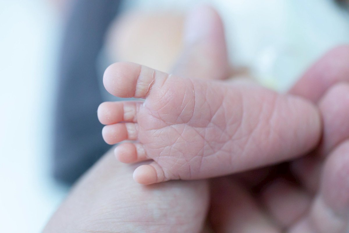 【速報】横浜市所得制限なし・子ども1人2万円の「子育て応援手当」3月上旬から支給スタートです✊

対象は0歳から高校生年代まで。
面倒な申請は【原則不要】です。（※公務員の方など一部例外あり）

今年度中に生まれた赤ちゃんも対象になります👶
詳細はリプ欄の市ホームページへ。