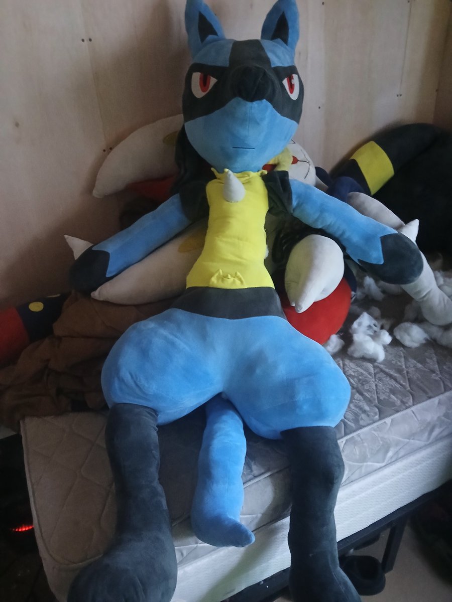 1 year ago this 5ft Lucario plush came home to me 
He may not be official but still cool to have 
#Lucario