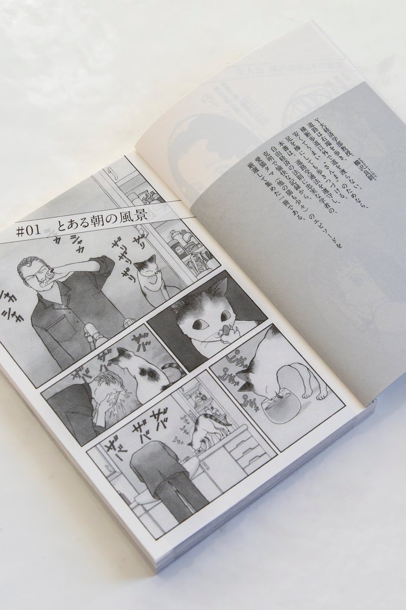 山下和美 (ツイステッド・シスターズ⑧5月22日発売) (@kazumiyamashita