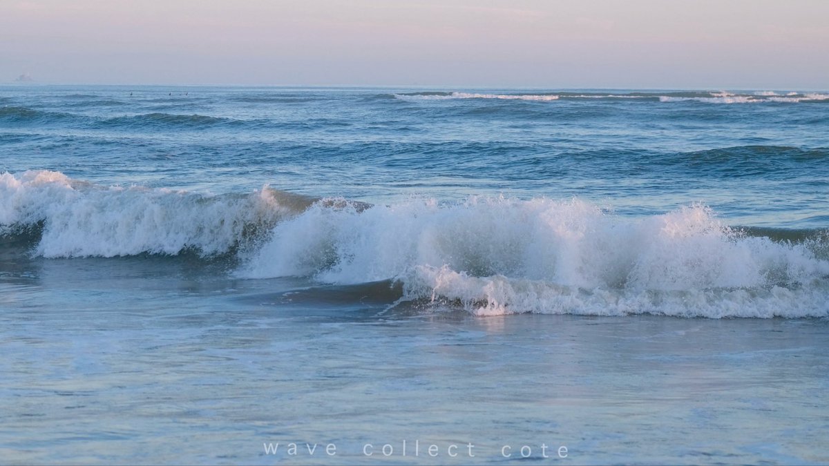 𝚌𝚘𝚝𝚎 tweet media