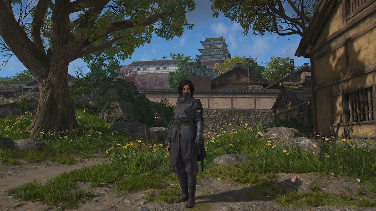 skyleopard24's tweet image. 444年前の
姫路城でもよくある風景…🏯

と言う事で今日は
姫路編。

#アサシンクリードシャドウズ