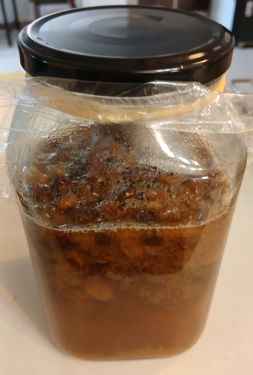 おはようございます。
体力もしっかり回復できたので、今日は張り切って作業を進めたいと思います。
写真は月一で作る自家製レーズン酵母です。
これを使って二日に1回、朝ごはんのパンを焼いています。