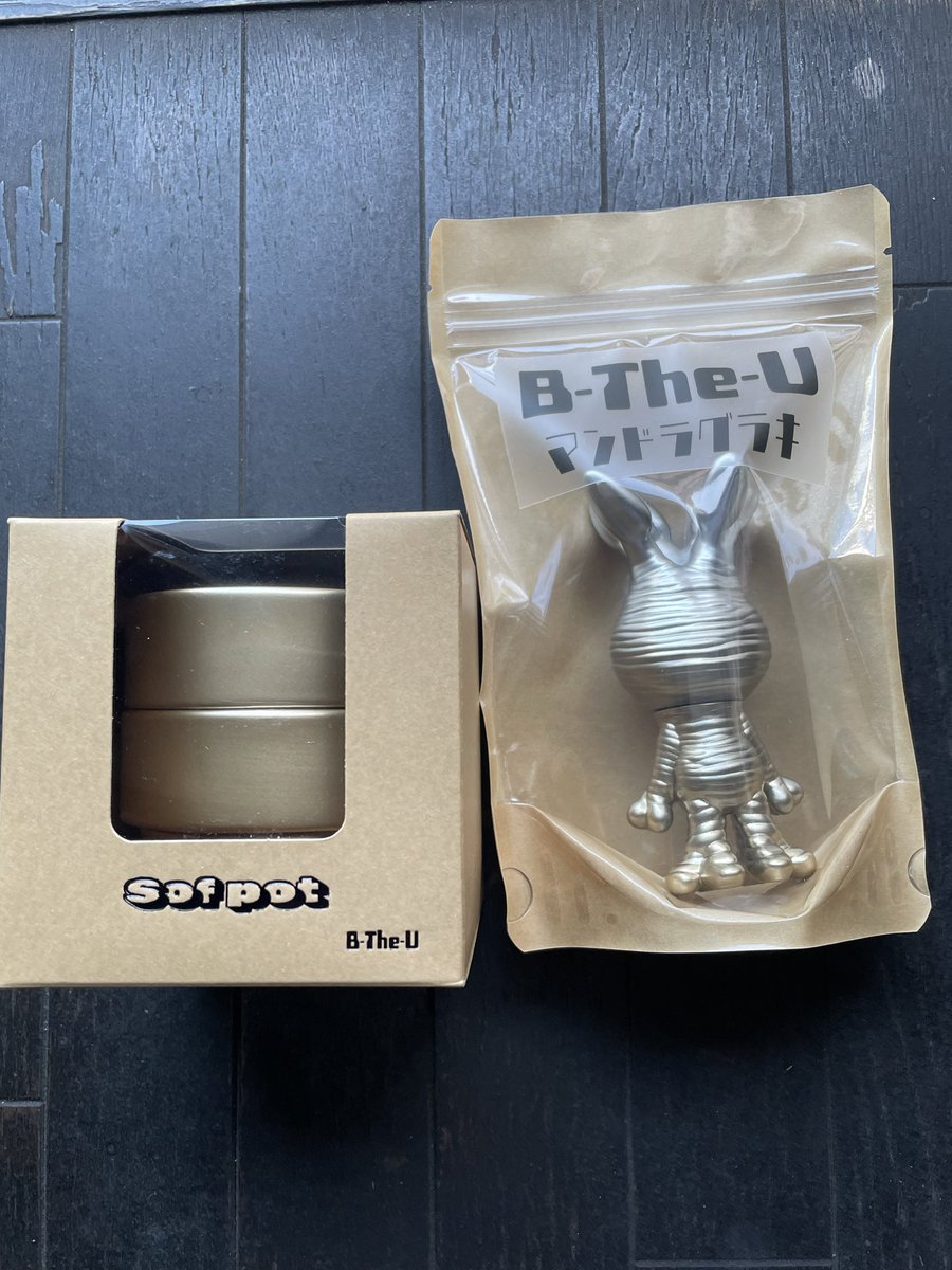 B-The-U🌱VAG3月中旬🌱 (@plantsBTheU) / Posts / X