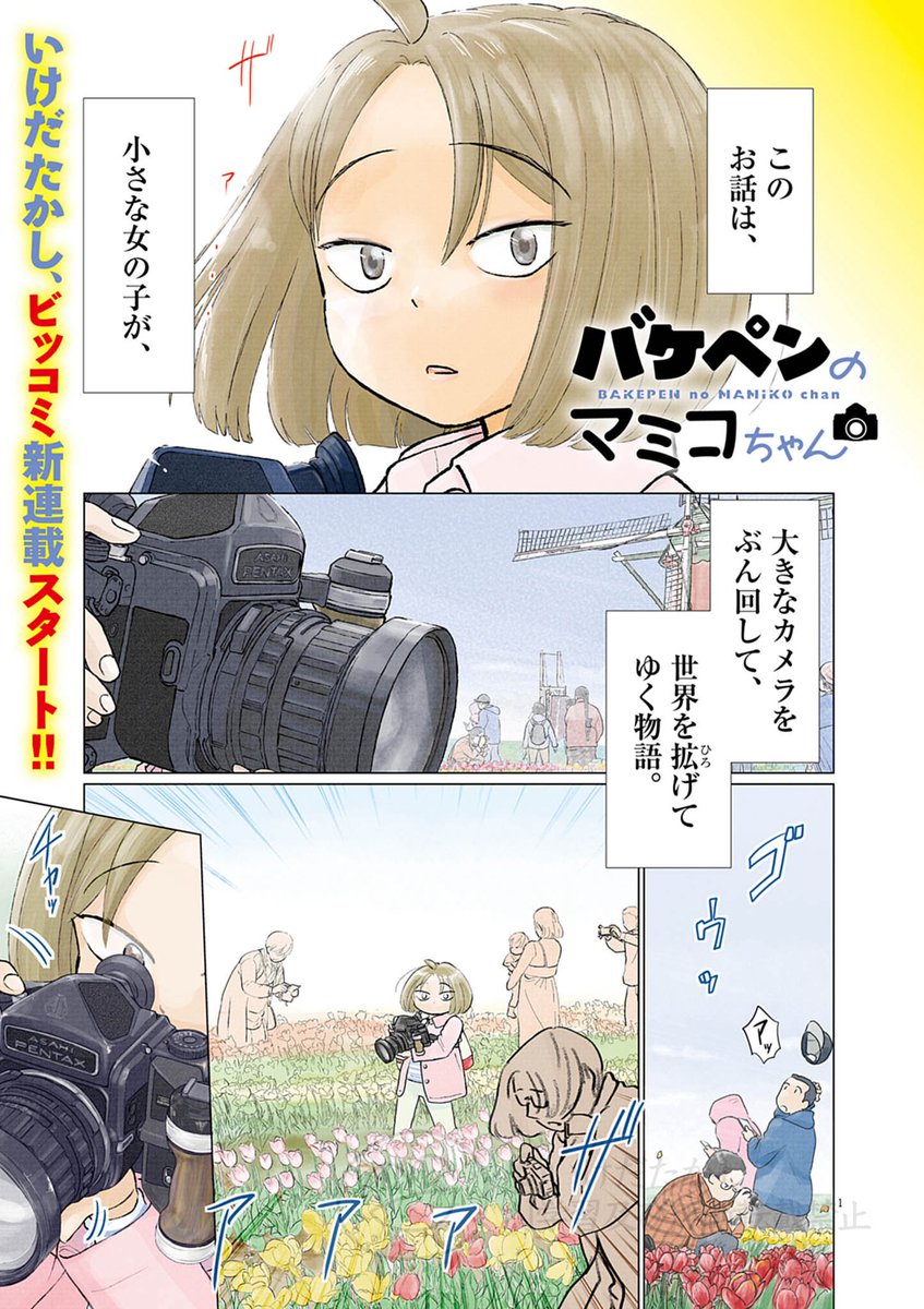 小さな女の子がでかいカメラをぶん回して頑張るお話 