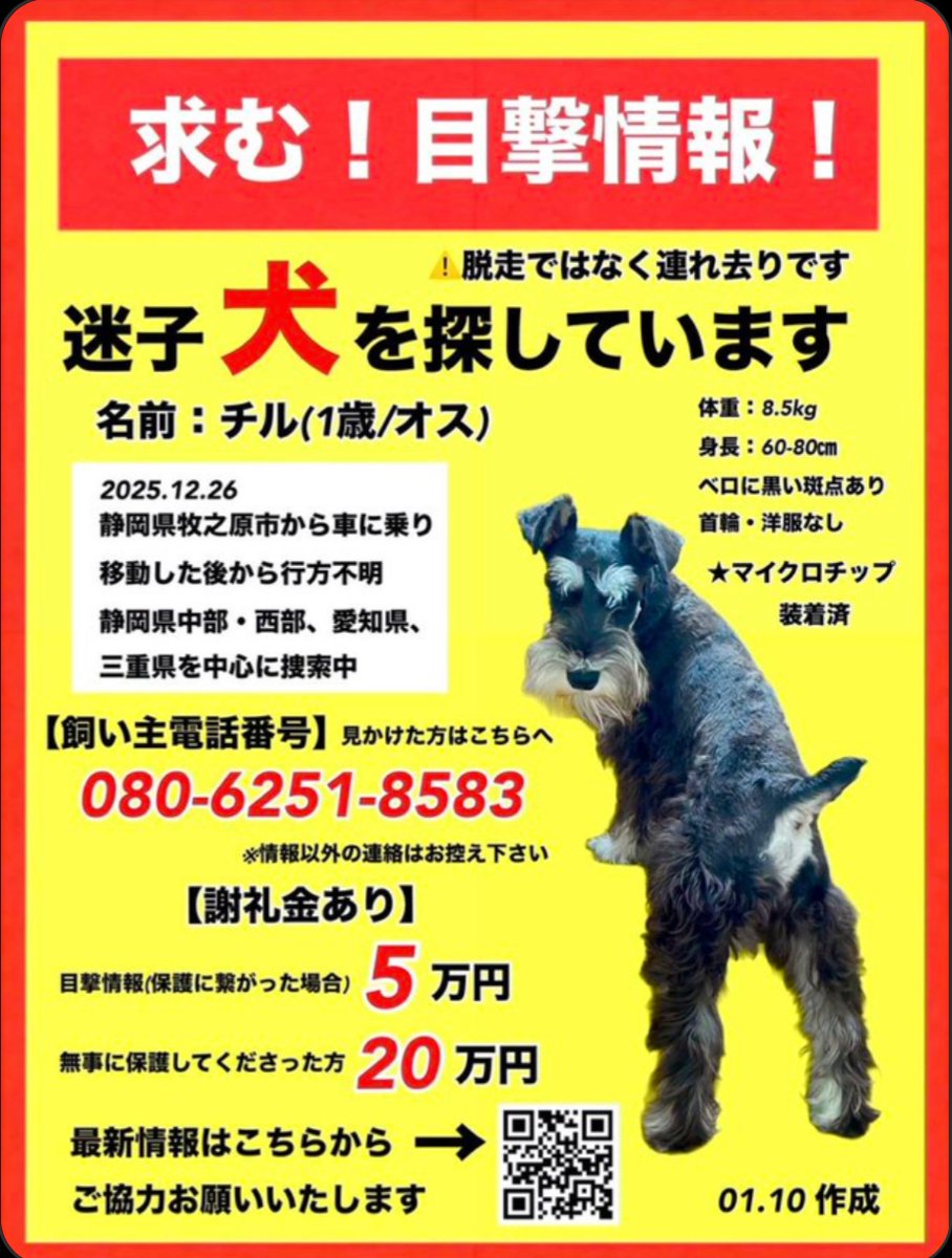 sizen_seikatu's tweet photo. 🚨#静岡県迷子犬 #三重県迷子犬 #迷子犬 #迷い犬 #シュナウザー #チルくん 
🐶1歳の シュナウザー チルくん🔽放置された地域が特定されたようです
🗾三重県 南牟婁郡 紀宝町 
大人しく⚠️怖がり⚠️目撃された方はご連絡を🙇‍♀️
#三重県 #紀宝町 #御浜町 #和歌山県 #新宮市 #熊野 #熊野川 https://t.co/eHId9pP944