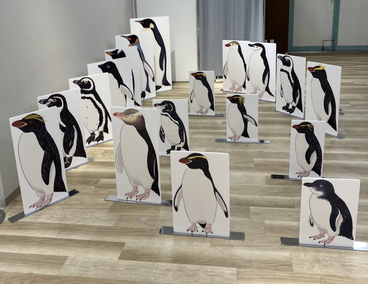 ならペンギンランドへ行って来ました🙌
素敵な作品を沢山お迎え出来て幸せです(*´꒳`*)