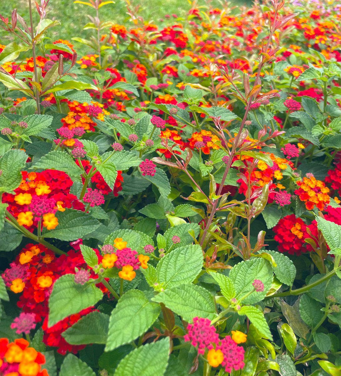 ElianaCarlin's tweet image. En el día mundial de la lucha contra la depresión, recordemos siempre que no tenemos idea de lo que está atravesando la otra persona. Procuremos que no ser unos hdps sea la regla mínima. Estemos ahí para dar una manito, un oído, un hombro, una sonrisa, o una coca colita. Algo que…