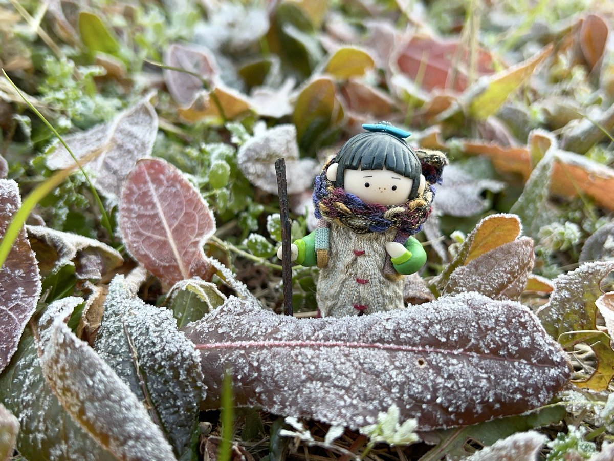 みどりのみどり (@nonoki_second) / Posts / X