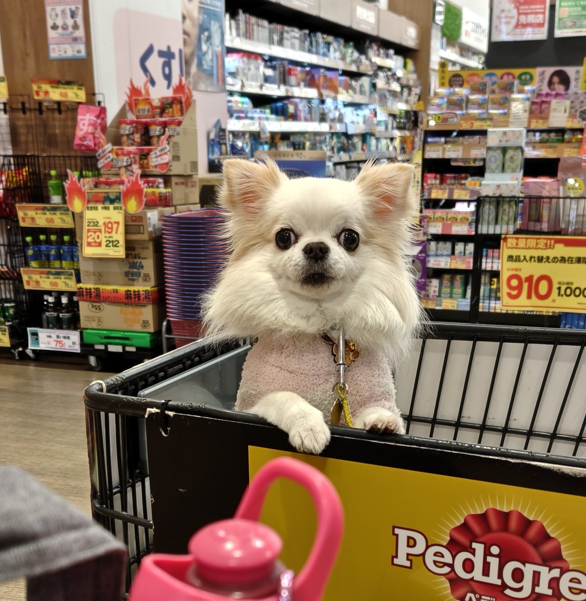 ya01jmwag's tweet image. おはよう