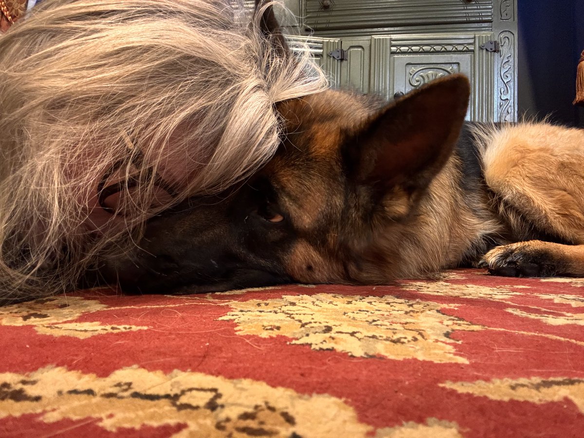 kprettybella86's tweet photo. I LOVE 💕 MY K9
LINK TO MY PRIVATE CHANNEL https://t.co/uxRRNtv0uq 

#GermanShepherd
#GSD
#ShepherdLife
#DogLovers
#GermanShepherdDaily #GermanShepherdusaloverrr https://t.co/o5QGtPCICY