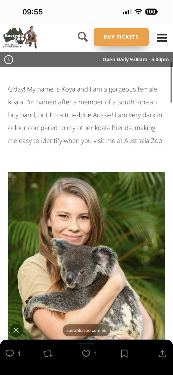 NAMJOON YOU HAVE TO MEET THE KOALA AT AUSTRALIA ZOO THAT WAS LITERALLY NAMED AFTER YOU <a href="/BTS_twt/">방탄소년단</a> <a href="/bts_bighit/">BTS_official</a>
