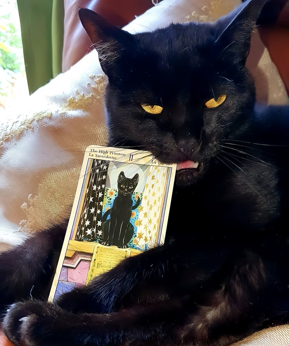 mystical ♒︎ mirror (@omisticismo) on Twitter photo 