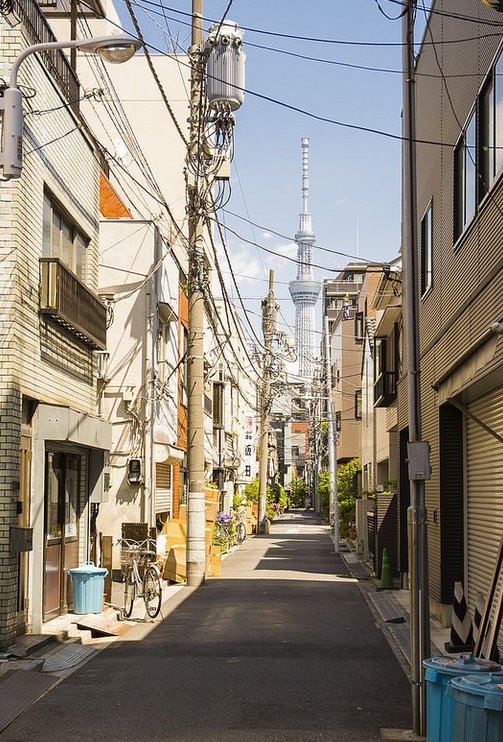 FREIRE1986MARY's tweet image. スーパーで特売日だったから食材まとめ買いしてきた 🥵