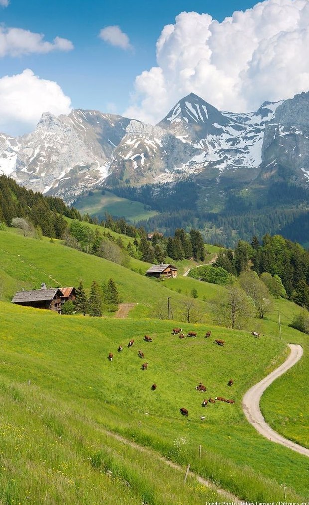 phidel31's tweet image. 深夜0時過ぎまでゲームやってて今日は反省モード
時間管理下手すぎ 🦥