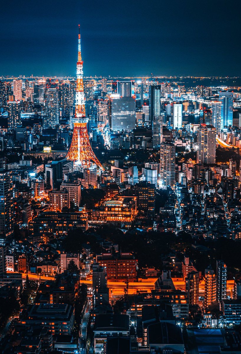 Fuzzik's tweet image. 今日は暖かくて
春っぽい気候だった 😓