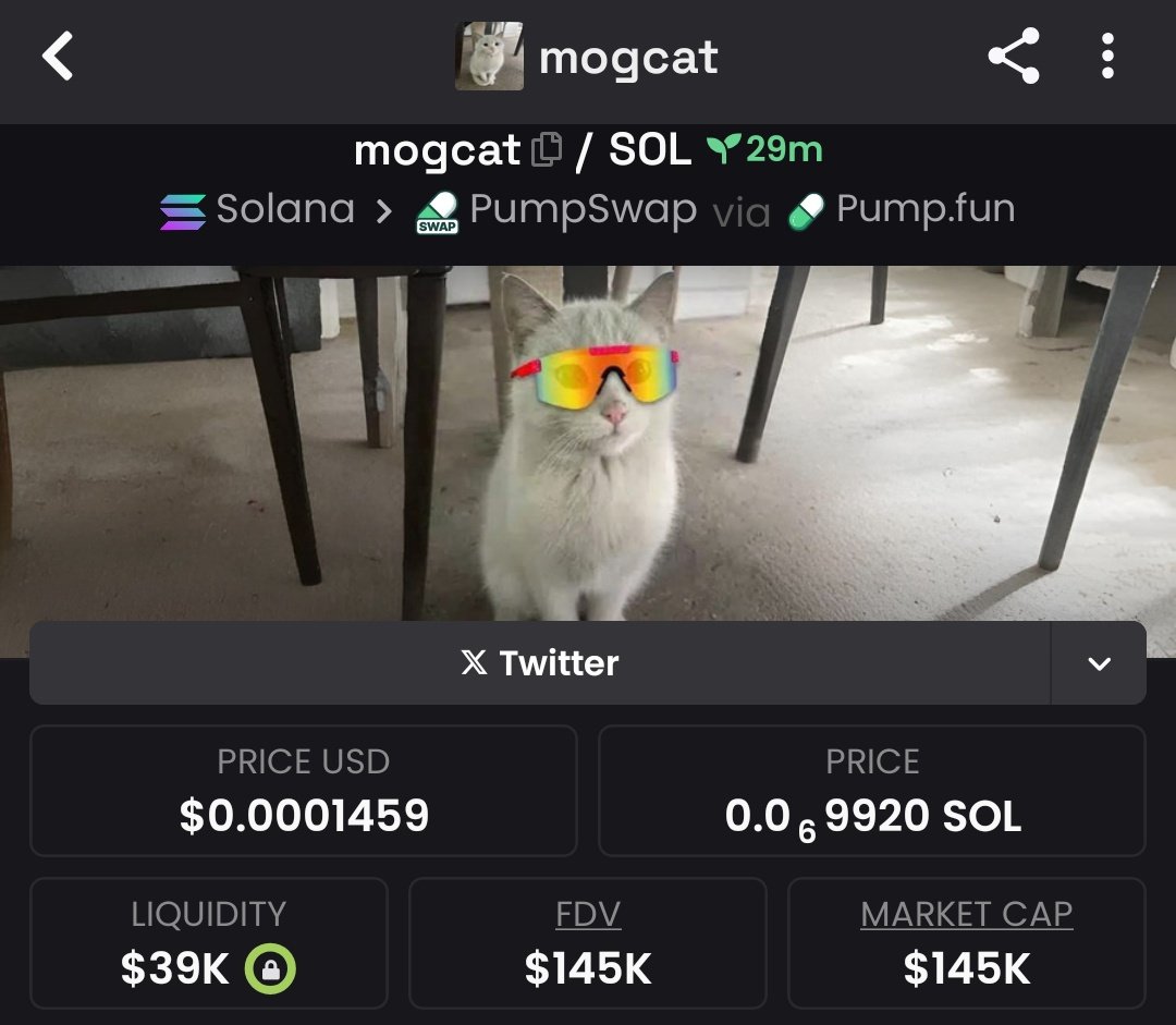 pumpsenseiups's tweet photo. #mogcat $145K β $19K MC ππ₯
Smart money saw it coming.
Shared live no lag, no fluff.
Consistent strategy, massive payoffs.
Real alpha doesnβt chase trends.
DM for access π‘π―
https://t.co/ERL7WiC6SJ
5SBUn2Ht6P7WUuWgpCTmUiKG7ufWPfB4DkK7qgeupump https://t.co/Q56K81bkDM