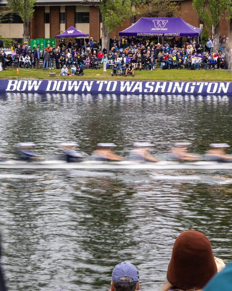 Windermere Cup tweet media