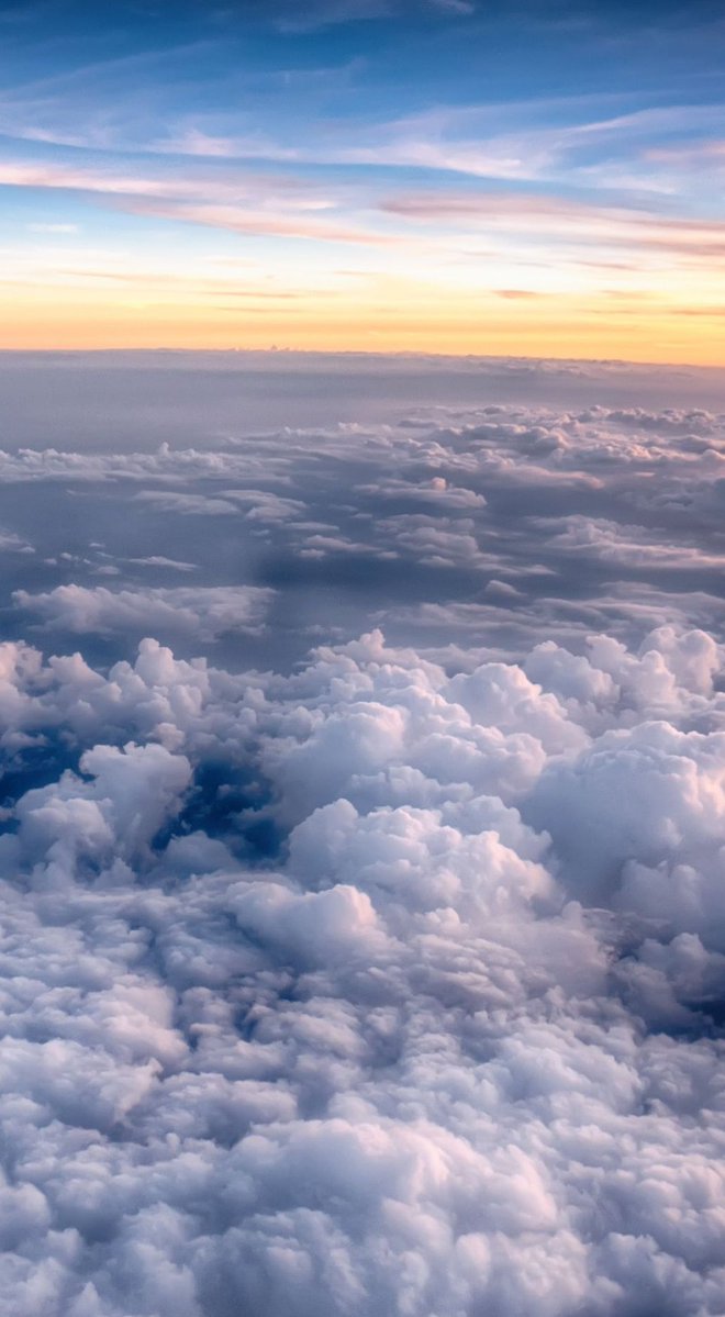 johnpauldavid's tweet image. 映画のチケット前売りで1400円で買えた 🦵