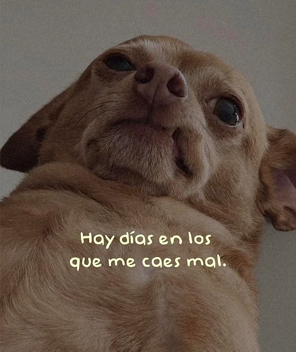 Dilo con dibujos (@dilocondibujos_) on Twitter photo 