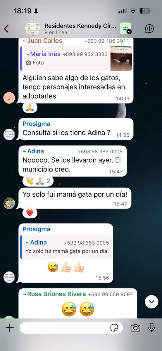 chuquil80's tweet photo. @181Responde @DefensoresAn @Proanimal_gye @segura_ep @alcaldiagye @taticoronelf @LFC014 El circuito  tiene un grupo encargado de los gatos , se ha identificado a la mujer que viene a dejar los gatos aquí y ya se le prohibió la entrada, dado que causa escándalos en la calle ,  trae basura y acosa a los residentes https://t.co/N8n2ipURUS