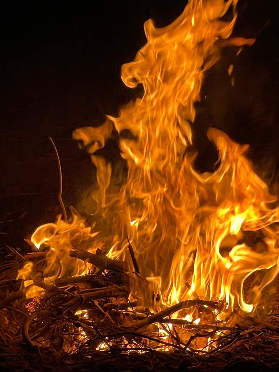 𝒏🦌 tweet media