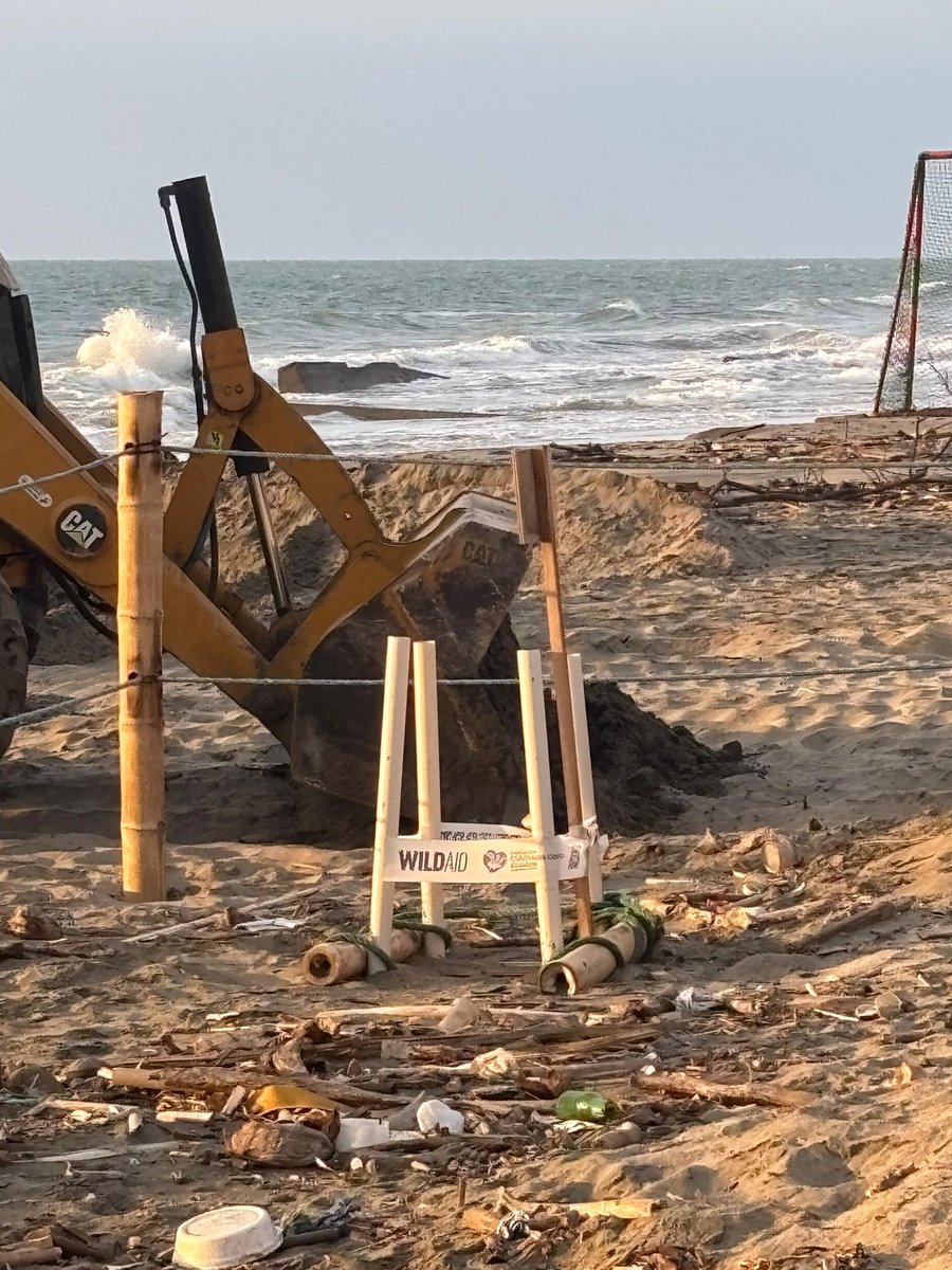 Así se protegen los nidos de tortugas en Ecuador. Con maquinaria pesada extrayendo arena en los sitios de anidación.
Playas sucias, llenas de luminarias, dígame <a href="/DanielNoboaOk/">Daniel Noboa Azin</a> cómo es que usted y <a href="/EcuadorMAE/">Ministerio de Ambiente y Energía</a> exactamente están protegiendo las tortugas? 
Ahí dice WILDAID no MAATE