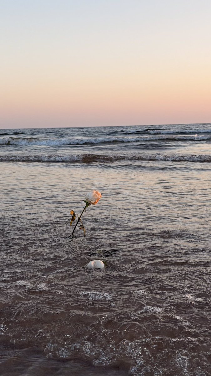 Daniela Spalla tweet media