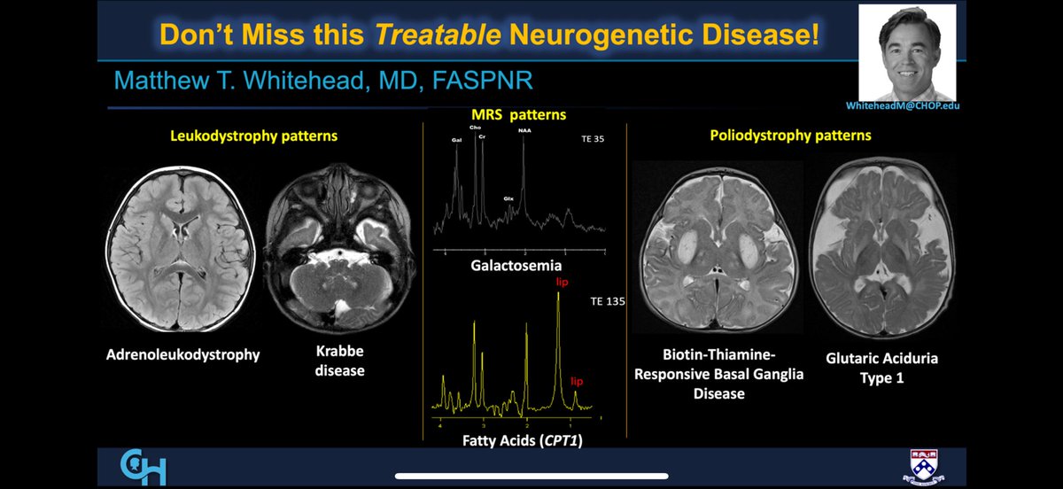 Matthew T. Whitehead tweet media