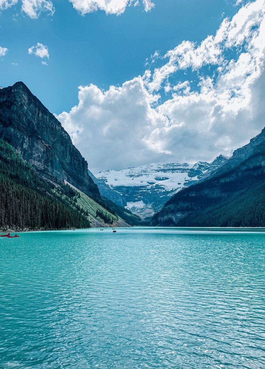 KitKatRod's tweet image. バイト先でお客さんに怒られて落ち込んだ 🐚