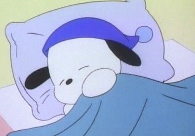 kitpool's tweet image. 図書館で4時間勉強してたら、隣の人のペンの音が気になって集中できない 🦗