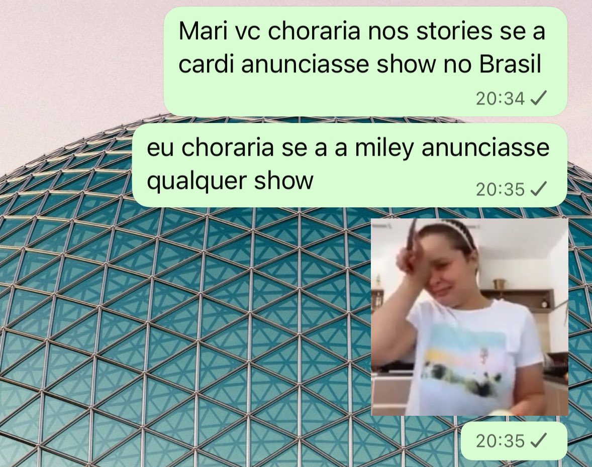 perrieswt's tweet image. a pauta é a mulher 30+ fazendo stories chorando por causa do bts