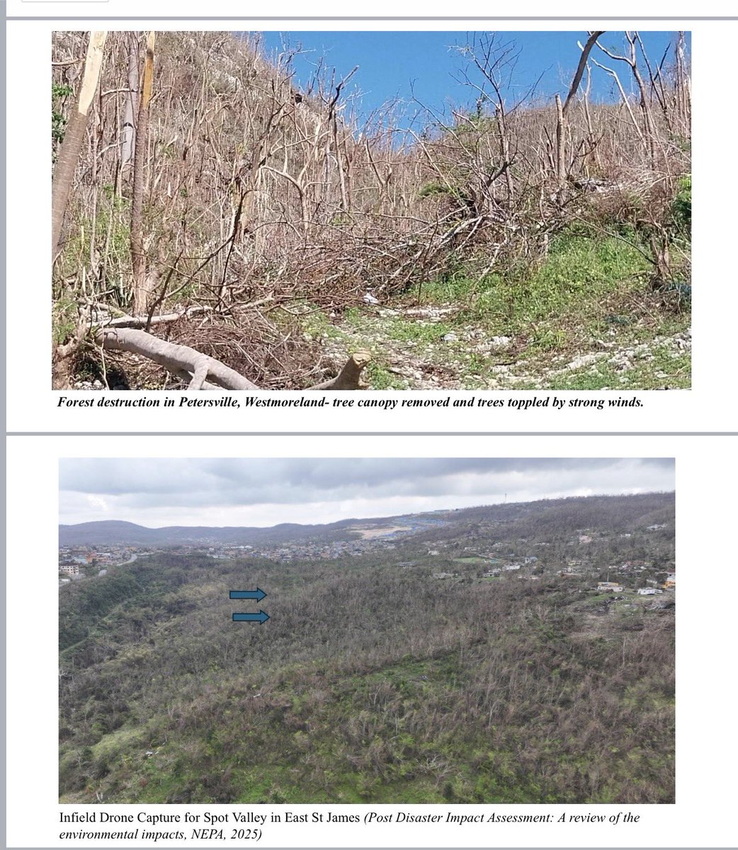 Andrew Holness tweet media