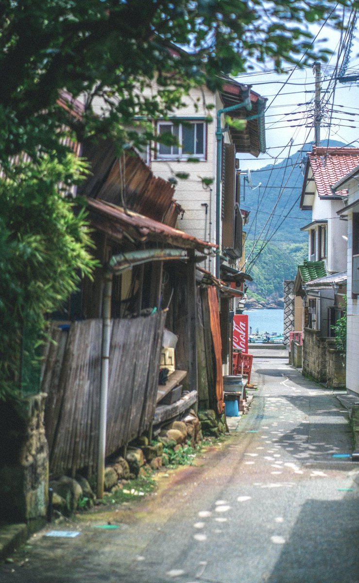 Kklimenko's tweet image. 今日の晩ご飯何にしようか迷う 🍛