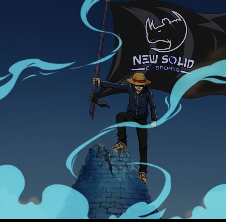 New Solid tweet media