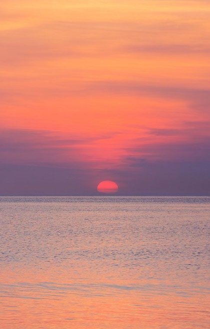 Girlinanutshell's tweet image. スーパーで見切り品のお寿司買えてラッキー 👩‍👦