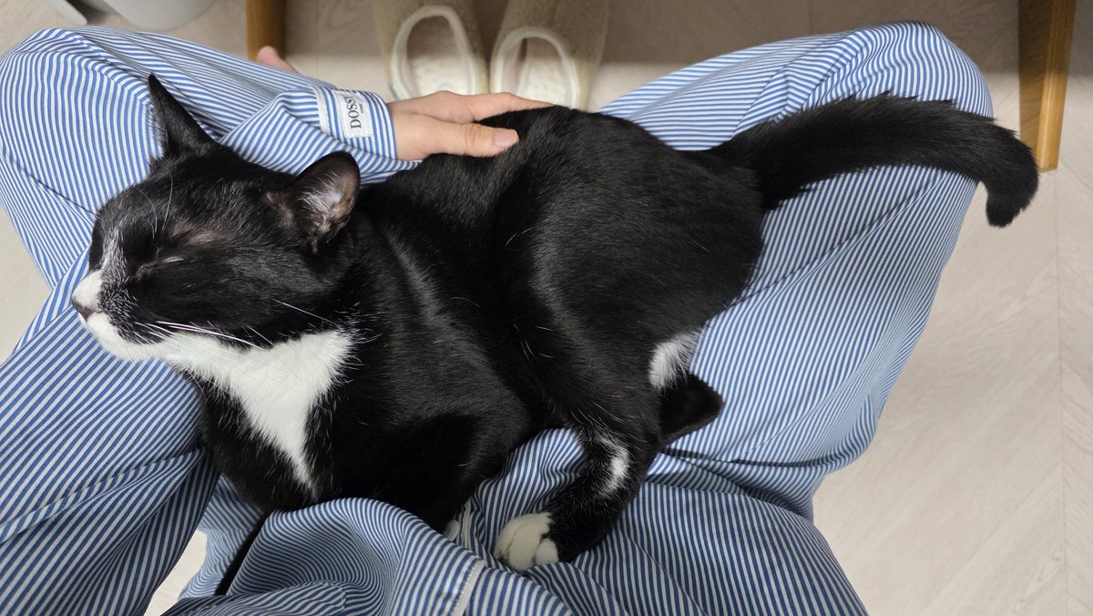 귀엽고 따끈하고 다리 저리다