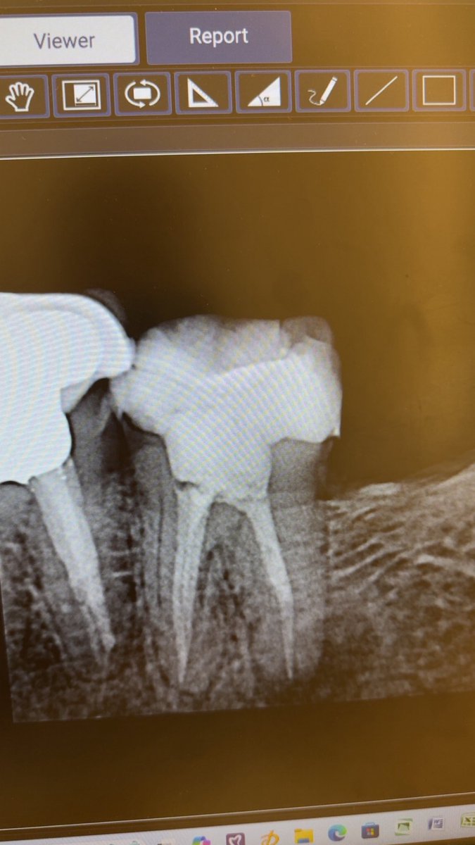 د/ محمد عمر باحسين. tweet media