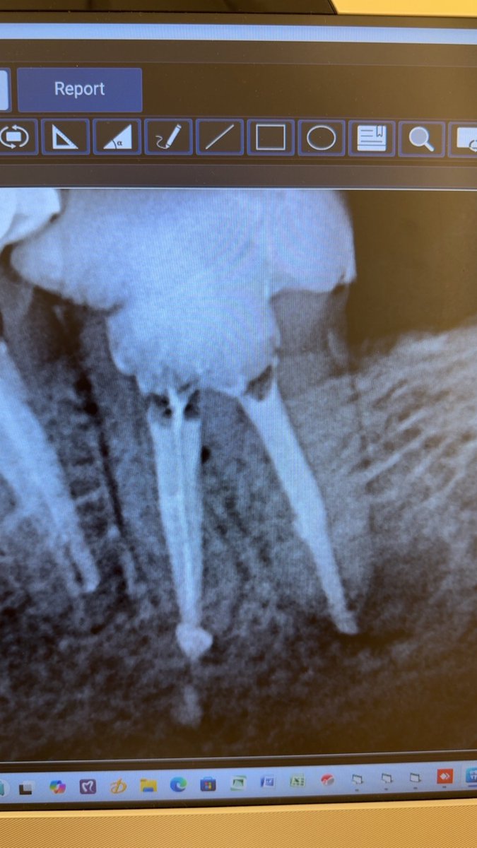 د/ محمد عمر باحسين. tweet media