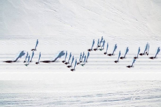 grayfruit tweet media