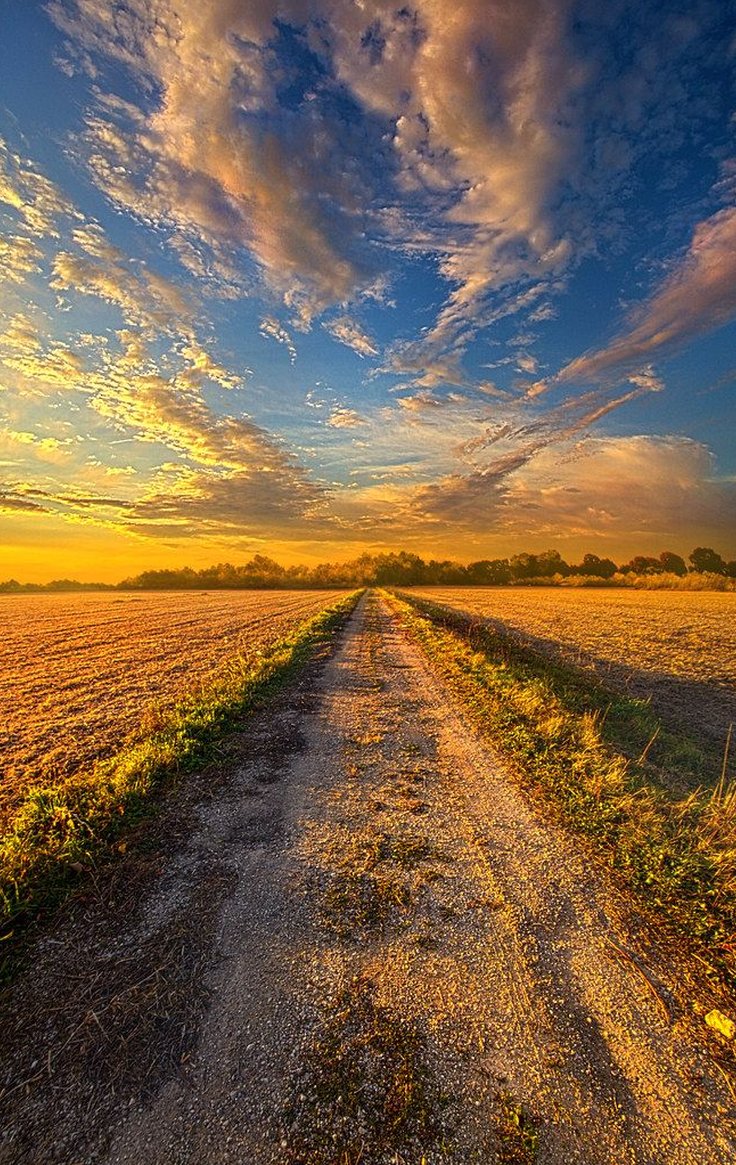 Pnutpocket's tweet image. 近所の公園で毎朝ラジオ体操してるおじいさんたちがいる。健康的な生活を送ってて、見習わないといけないなあ 👨‍🎓