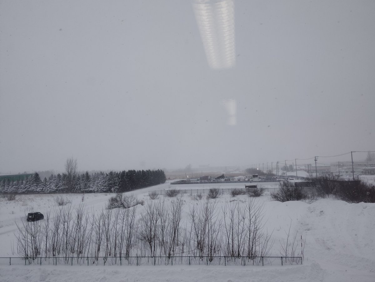 おはようございます。今朝の銭函5丁目は吹雪❄️

昨夜はホワイトアウトの中、命からがら帰宅しました😭
北海道は今日も荒れた天気になりそうです。お車を運転される方、どうか十分お気をつけください。

#企業公式が朝の挨拶を言い合う
#企業公式相互フォロー