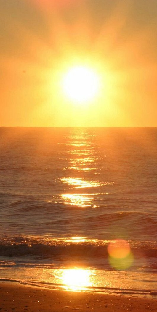 doolnut's tweet image. 今週は毎日7時間睡眠を心がけてて、体調が良い状態を保ててる 🐸