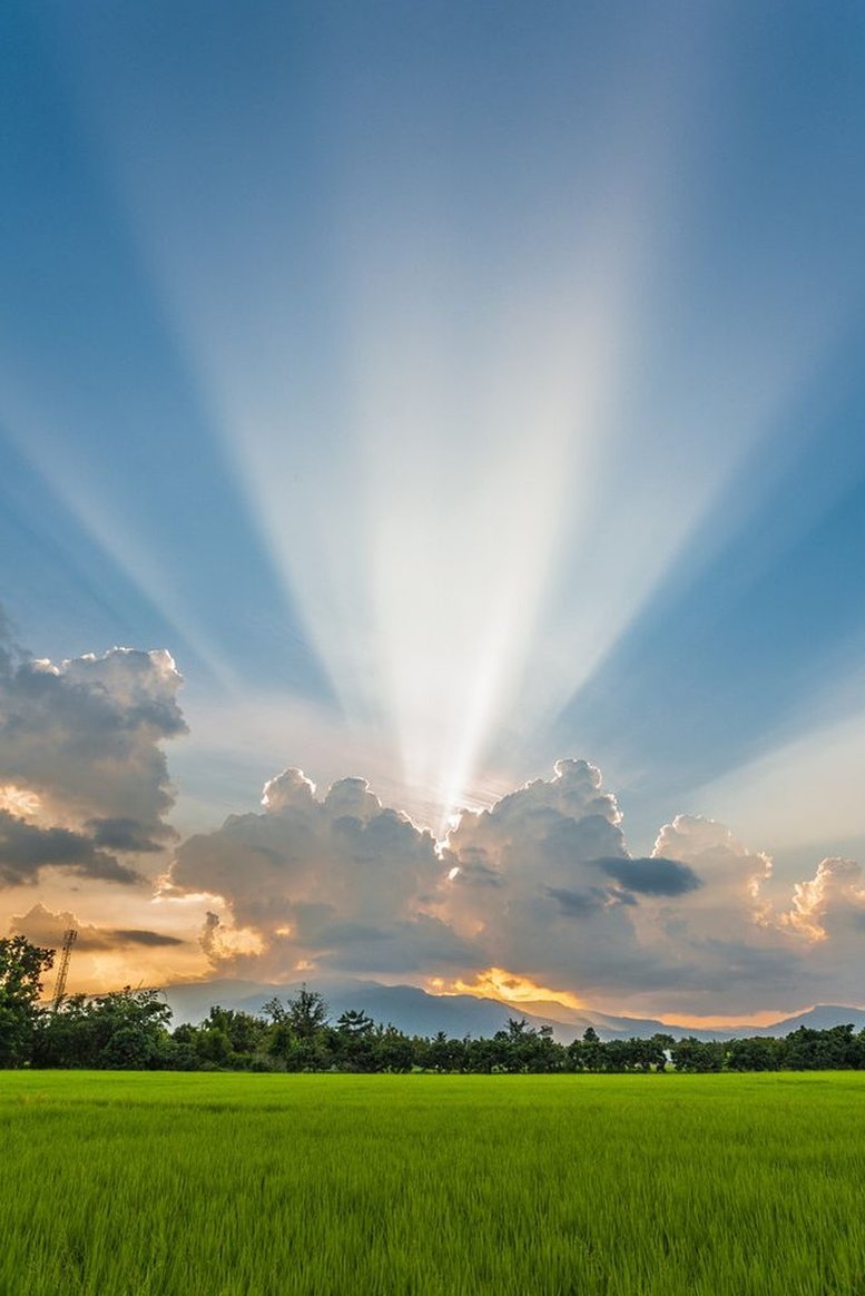 GoGozzoo's tweet image. 友達におすすめされた本読み始めた 🦩